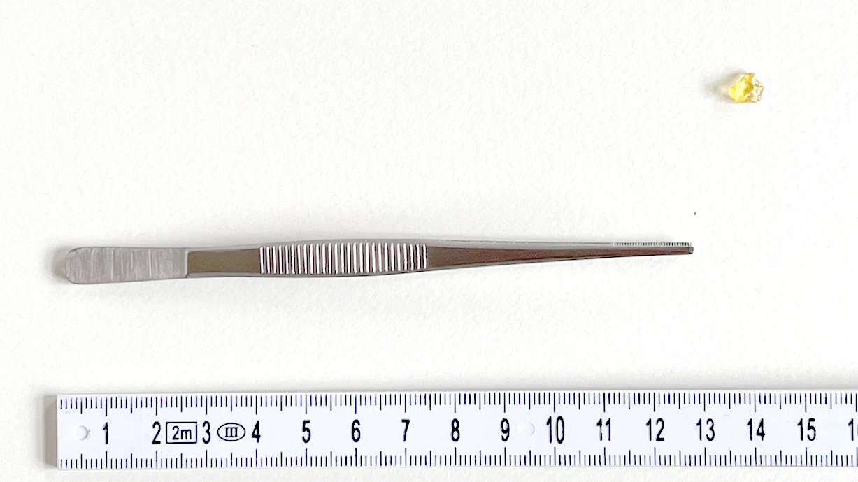 Pinzeta anatomická 15 cm