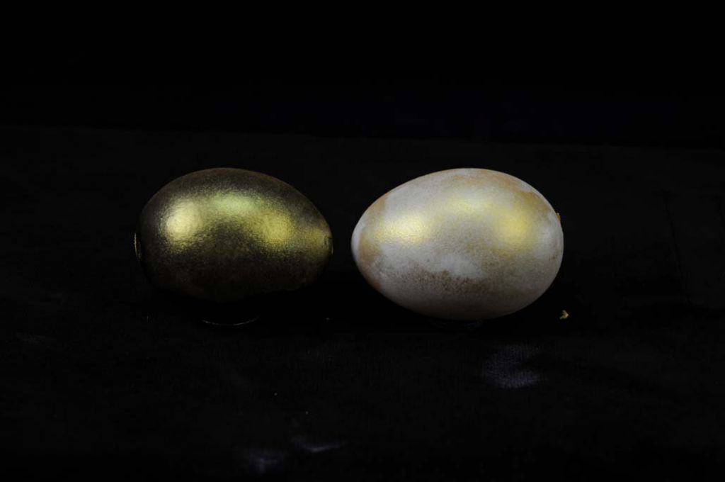 IRIODIN® 307 STAR GOLD, Colibri, jemný