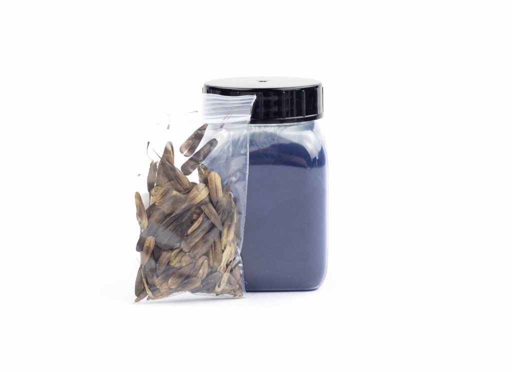 Borytová modř, německé indigo (Waid-indigo), 100 g