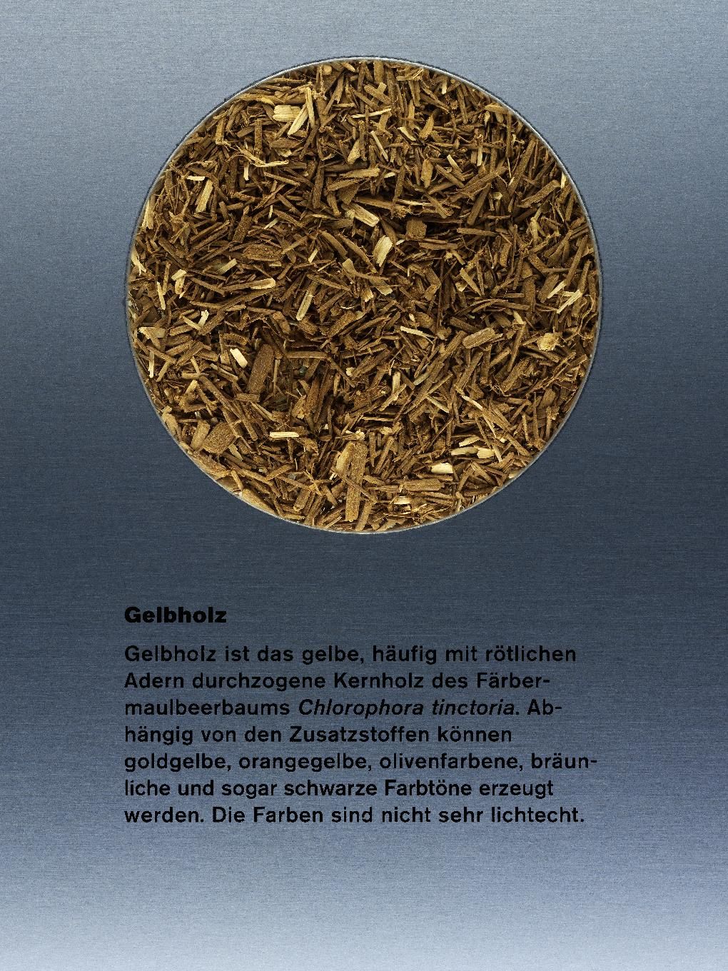 Žluté dřevo (Moruše barvířská)