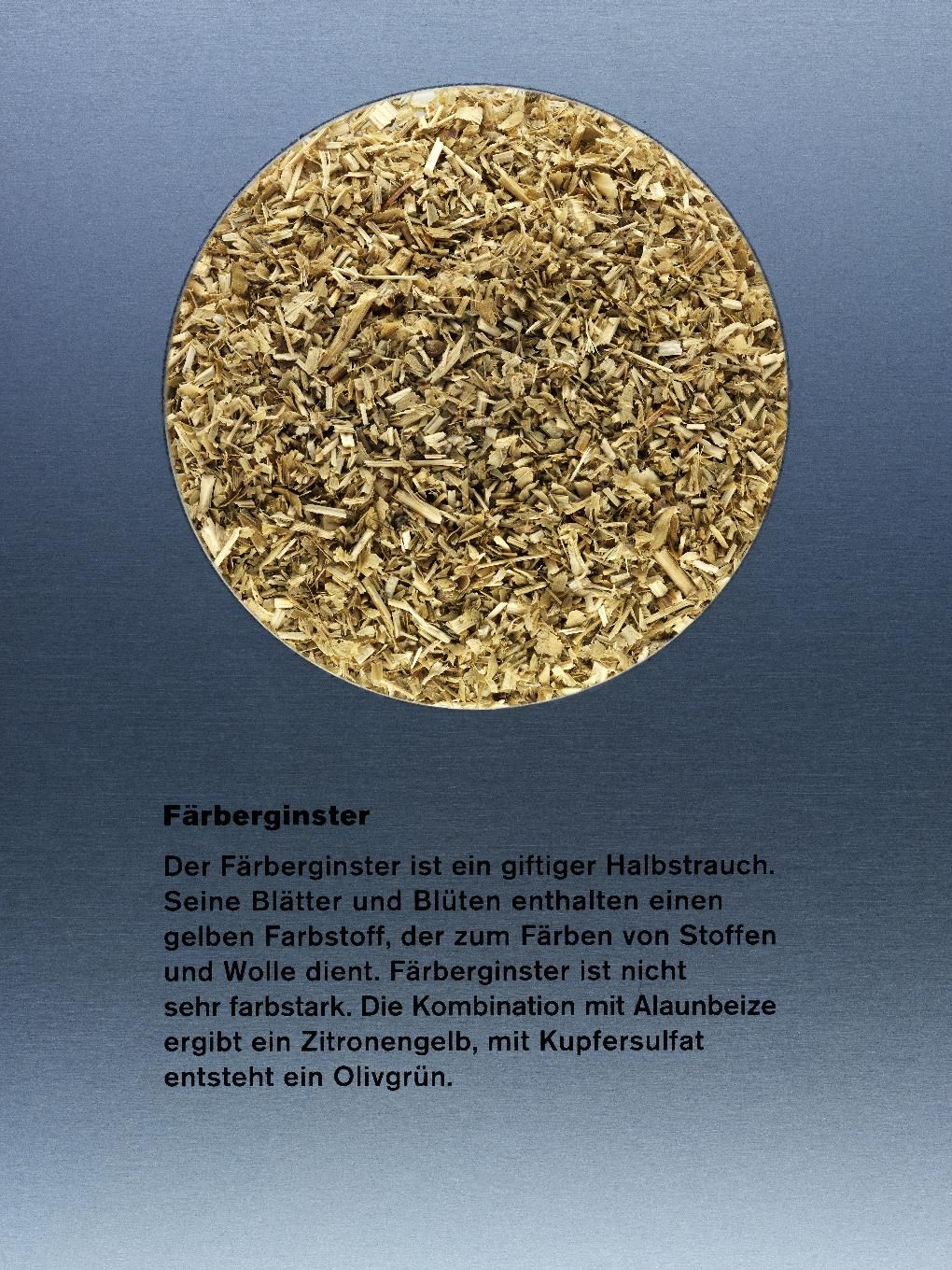 Kručinka barvířská (Herba genistae)