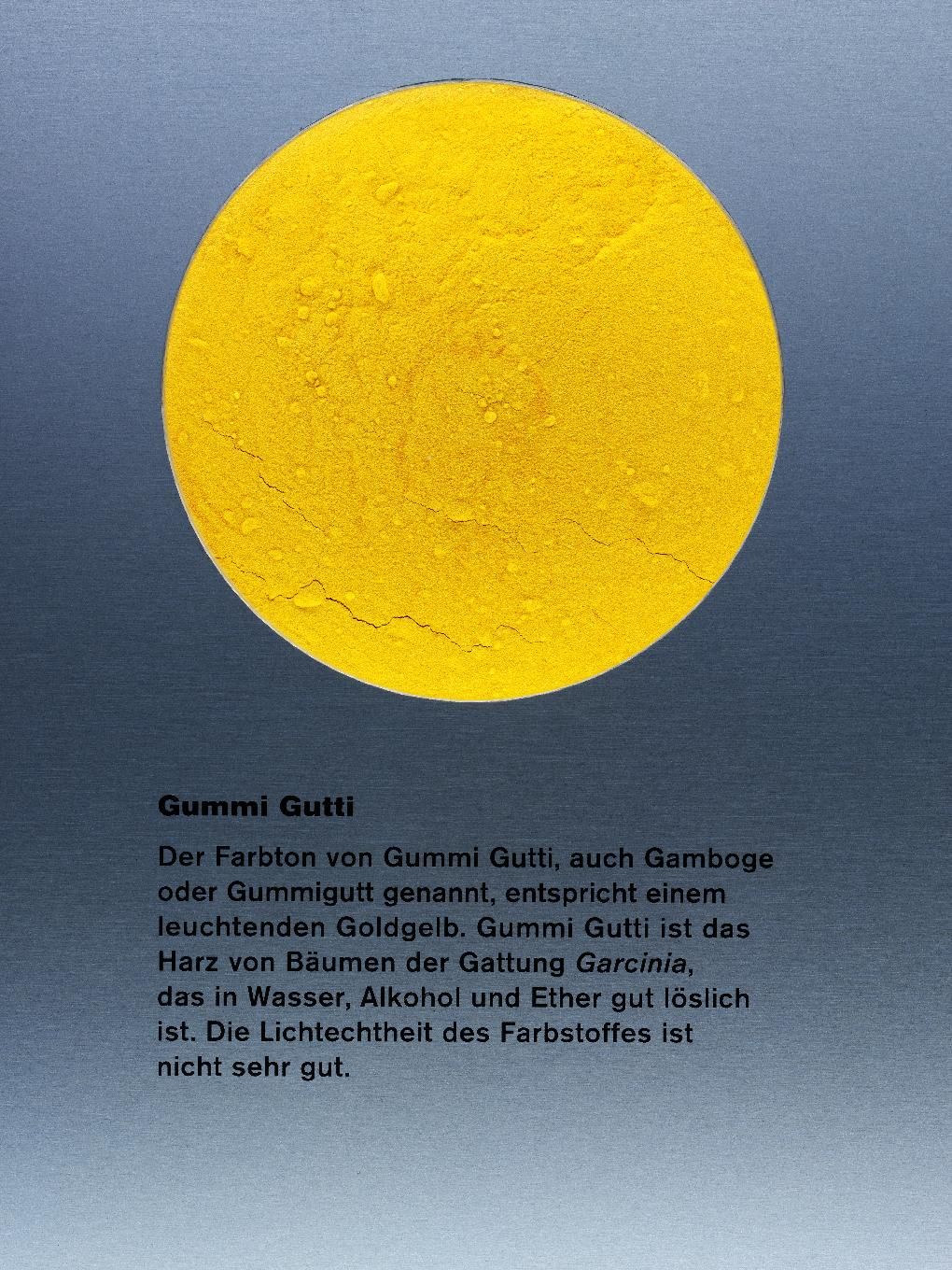 Gamboge (Gummi Gutti), prášek