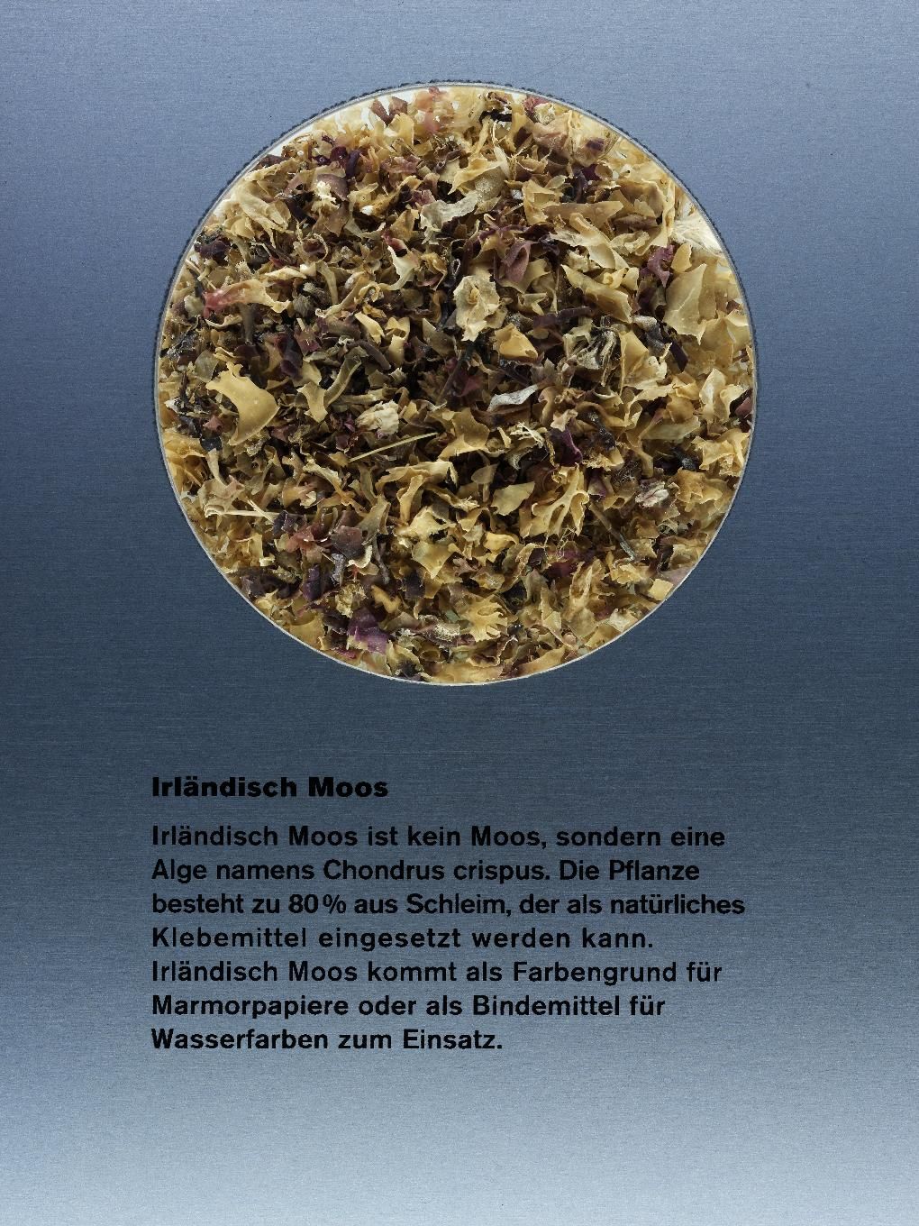 Irský mech, 100 g