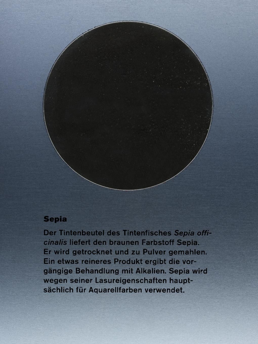 Sépie, 1 kg