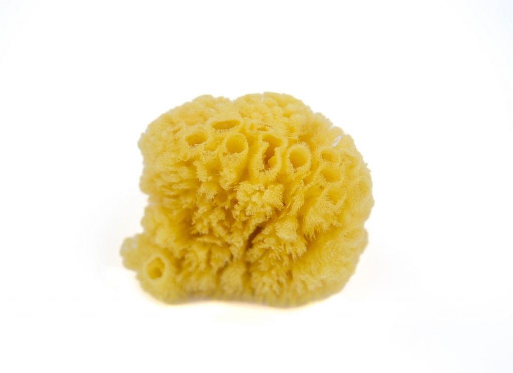 Přírodní mořská houba, malá, 5 kusů
