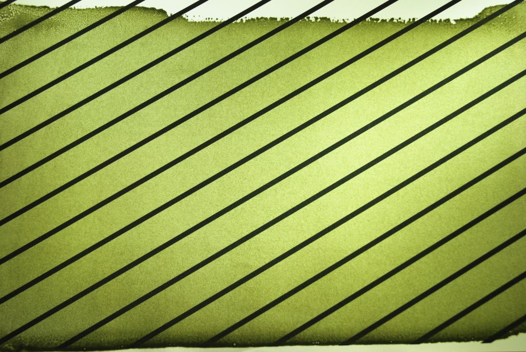 Zem zelená, ruská, 1 kg