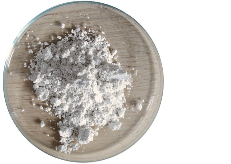 Šampaňská křída